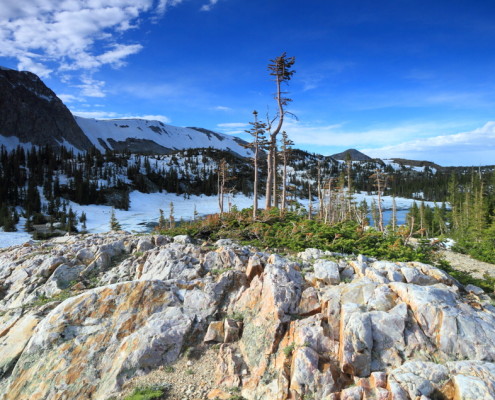 Rocky terrain of Wyoming